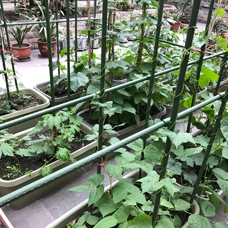 Hot sale19pcs Multi-Purpose Durable Garden Stakes Plant Support Sticks for Tomatoes Cucumbers Grapes Climbing Vines xs63-fro
Hot sale19pcs Multi-Purpose Durable Garden Stakes Plant Support Sticks for Tomatoes Cucumbers Grapes Climbing Vines xs63-fro