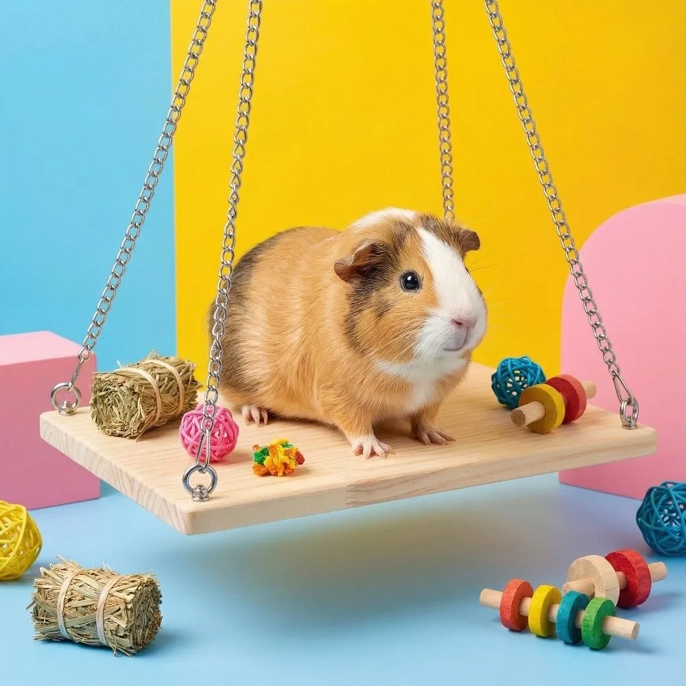 Funny Wooden Hamster Swing Toys Durable with Chain Parrot Hanging Bed Bite Resistant Cockatiel Swing Ladder Training
Funny Wooden Hamster Swing Toys Durable with Chain Parrot Hanging Bed Bite Resistant Cockatiel Swing Ladder Training
