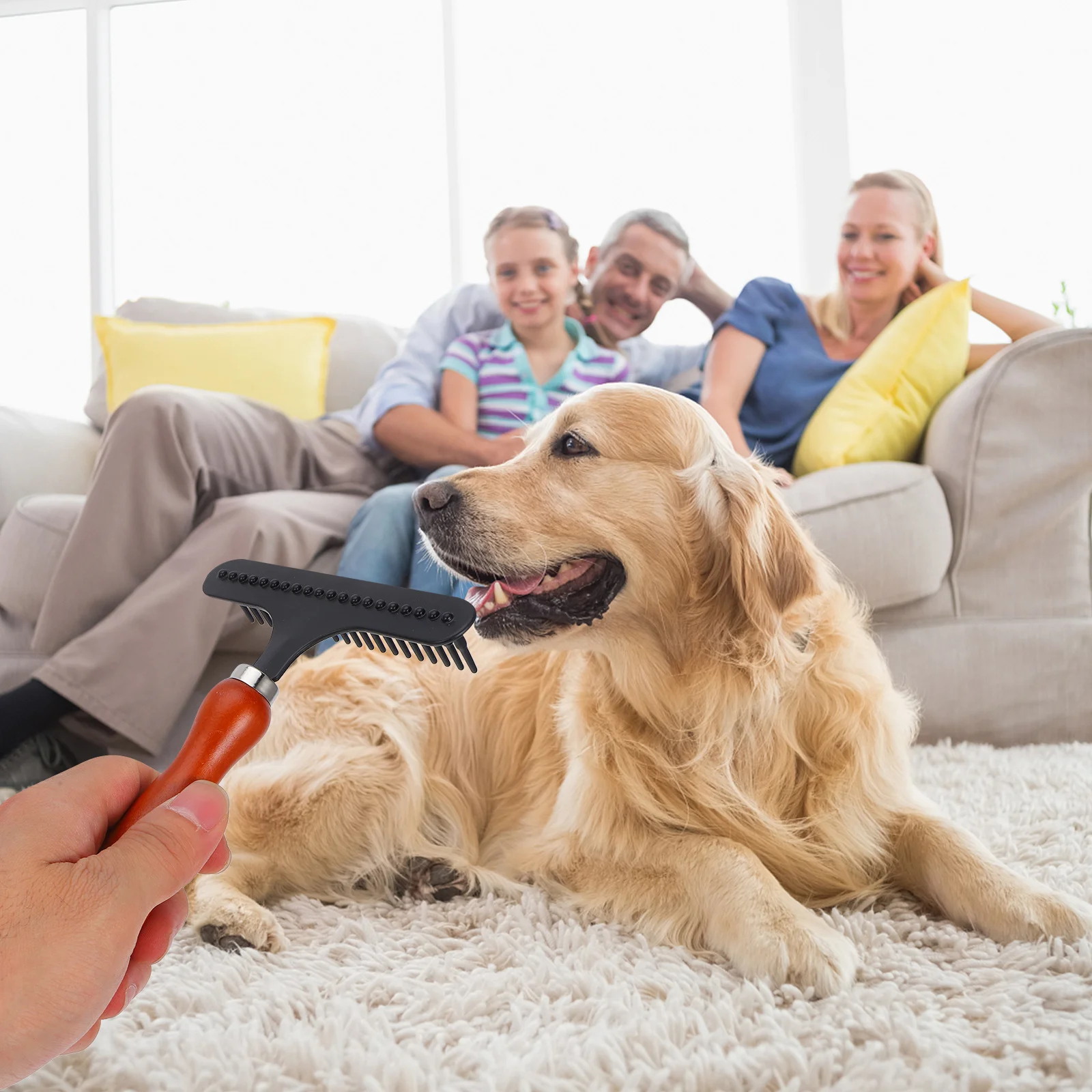 Large Dog Hair Removal Comb Dematting Tool for Golden Retrievers Labradors Undercoat Rake Shedding Brush Pet Grooming Detangler
Large Dog Hair Removal Comb Dematting Tool for Golden Retrievers Labradors Undercoat Rake Shedding Brush Pet Grooming Detangler