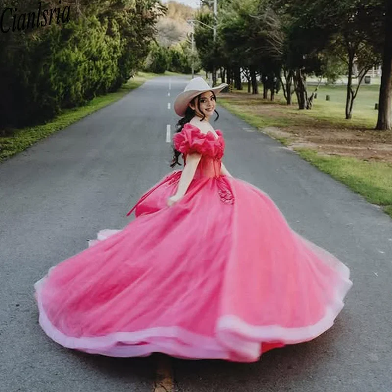 2025 pink off shoulder ball gown quinceanera dresses beading Crystal lace appliques Tull Sweet 16 15 birthday Vestido de 15 anos
2025 pink off shoulder ball gown quinceanera dresses beading Crystal lace appliques Tull Sweet 16 15 birthday Vestido de 15 anos