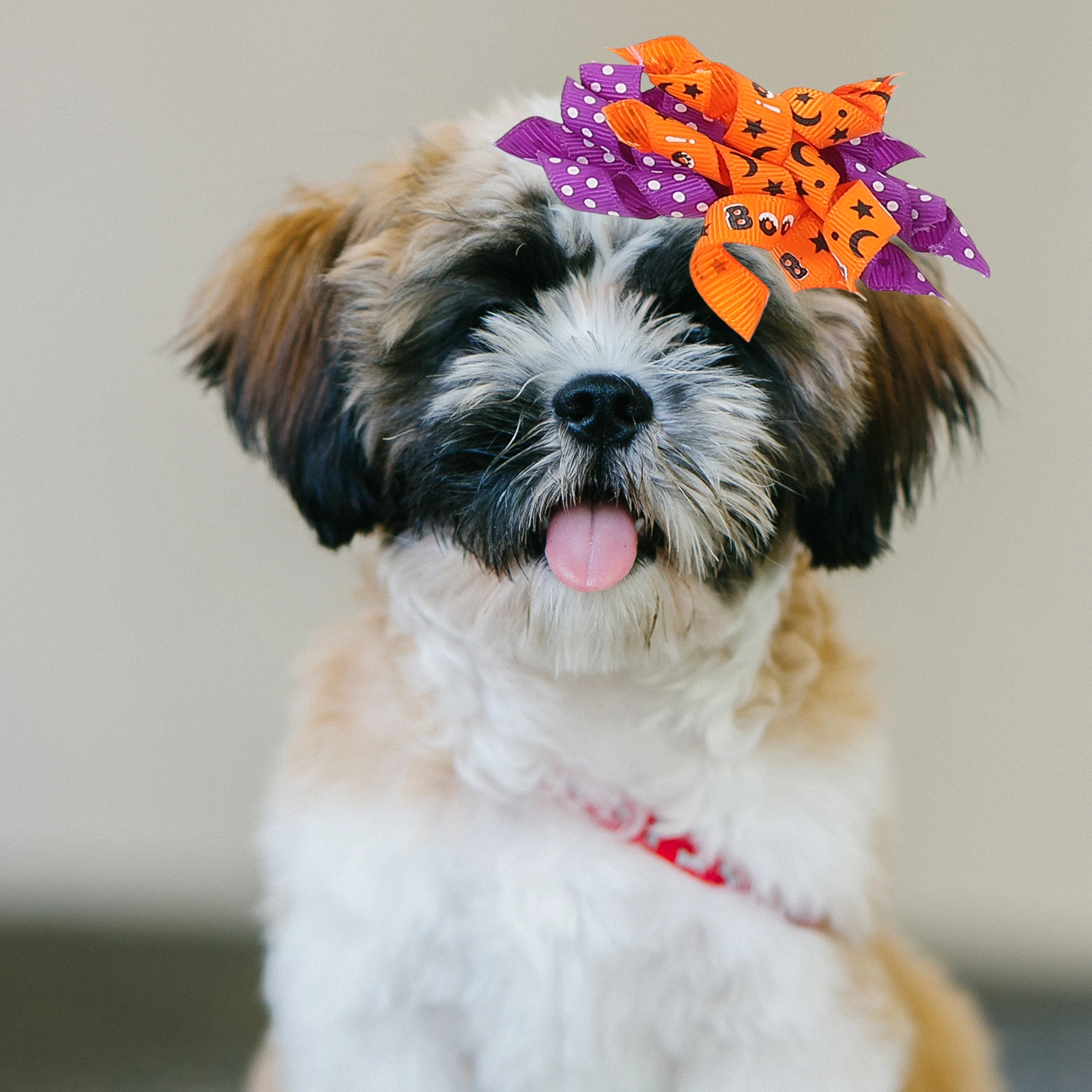 10 Pcs Pet Hair Bow Halloween Dog Bows Small Medium Decor Puppy Grooming Accessories Thanksgiving Christmas Photo Props
10 Pcs Pet Hair Bow Halloween Dog Bows Small Medium Decor Puppy Grooming Accessories Thanksgiving Christmas Photo Props