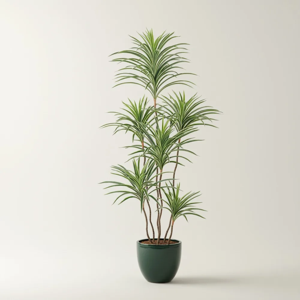 5-футовое искусственное шелковое дерево Dracaena в горшке, искусственное тропическое напольное растение для декора домашнего офиса в помещении и на открытом воздухе
5-футовое искусственное шелковое дерево Dracaena в горшке, искусственное тропическое напольное растение для декора домашнего офиса в помещении и на открытом воздухе