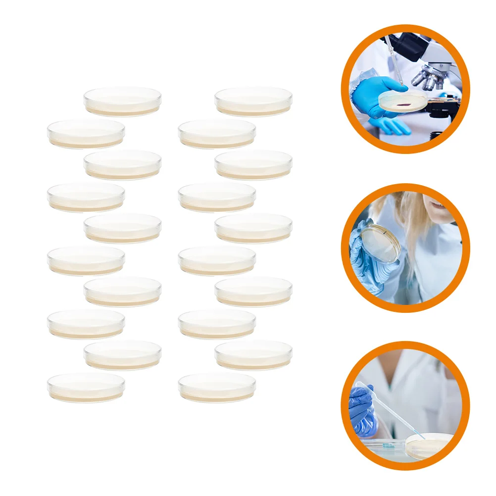 20 Pcs Prepoured Petri Dish with Agar Plates Mycology Nutrient Suite Science Experiment
20 Pcs Prepoured Petri Dish with Agar Plates Mycology Nutrient Suite Science Experiment