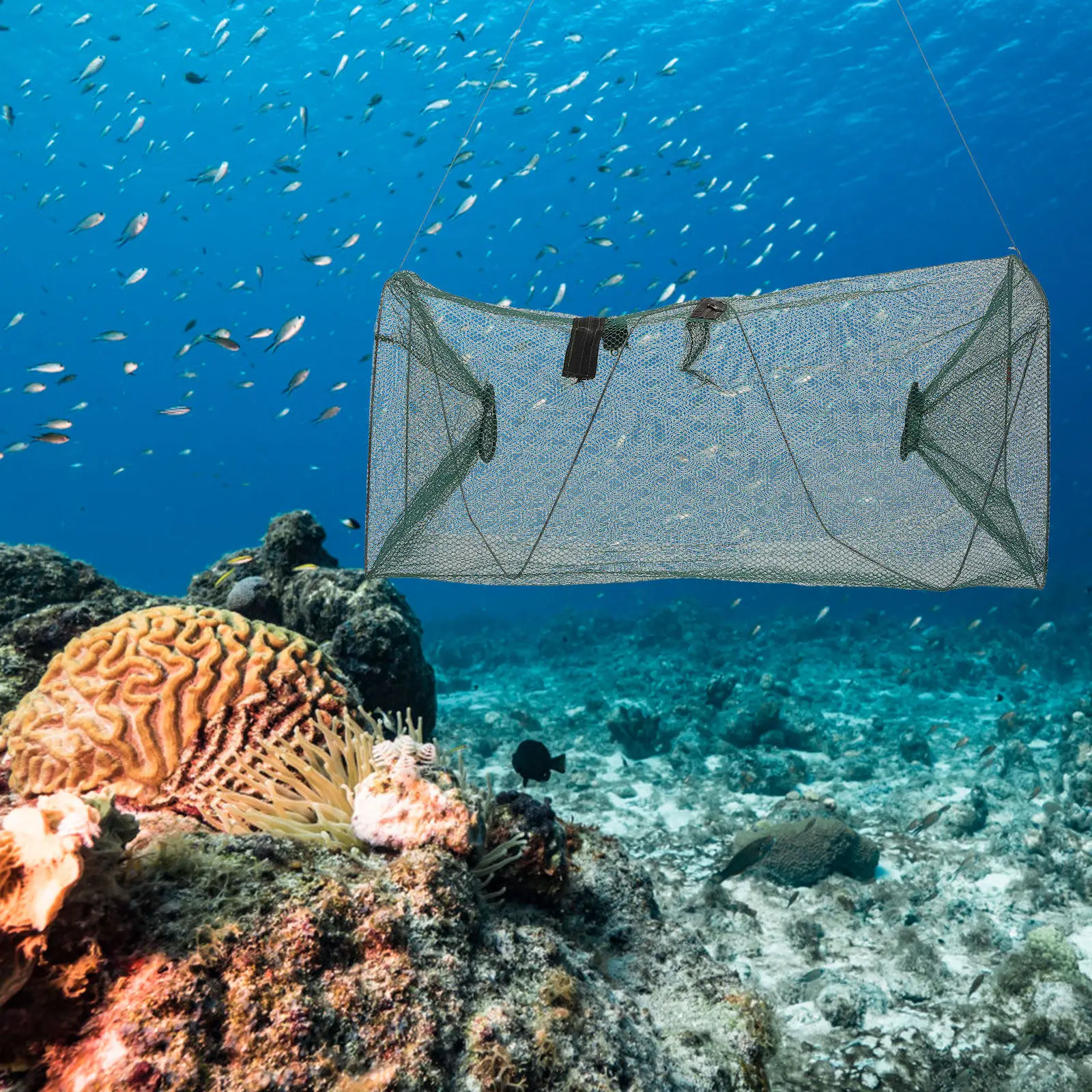 Складная нейлоновая сетка для креветок, легкая рыболовная сетка-сумка для хранения, прочная портативная сетка для ловли рыбы, портативная рыболовная сетка-мешок
Складная нейлоновая сетка для креветок, легкая рыболовная сетка-сумка для хранения, прочная портативная сетка для ловли рыбы, портативная рыболовная сетка-мешок