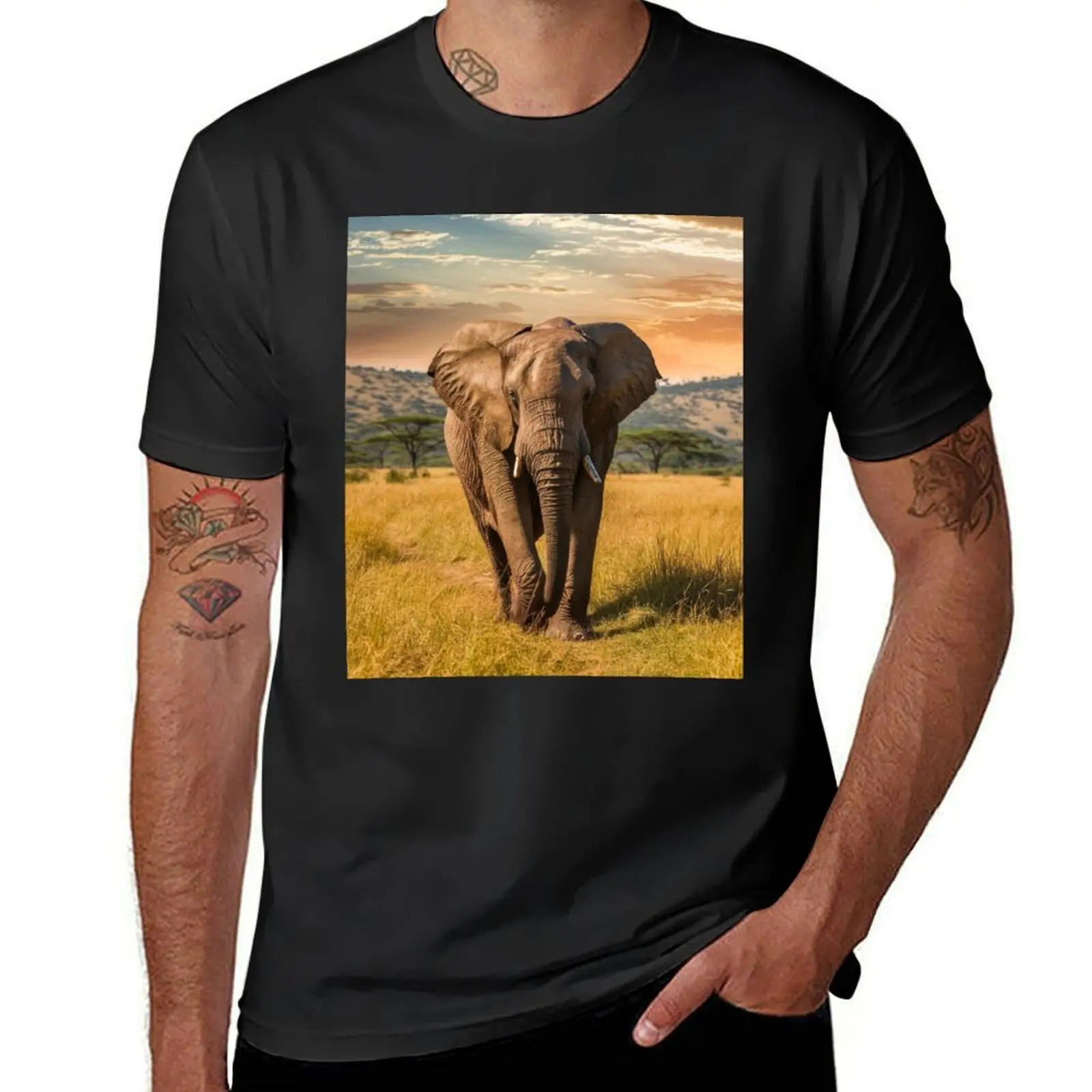 Elephant Portrait. african elephant, safari elephant, african safari, african sunset T-Shirt plain t shirt men
Elephant Portrait. african elephant, safari elephant, african safari, african sunset T-Shirt plain t shirt men