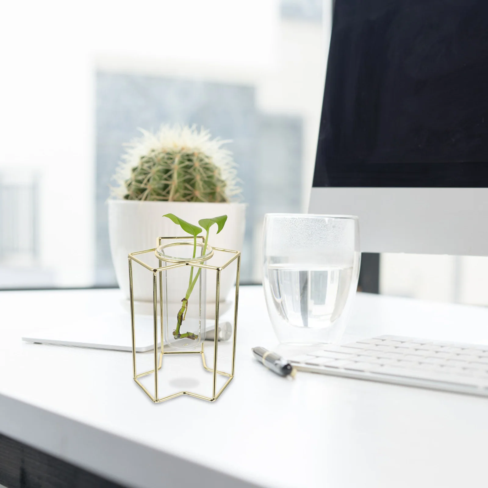 1Pcs Luxury Flower Vase Creative Glass Tube Hydroponic Planter Iron Rack Green Plant Container Desk Home Decoration
1Pcs Luxury Flower Vase Creative Glass Tube Hydroponic Planter Iron Rack Green Plant Container Desk Home Decoration