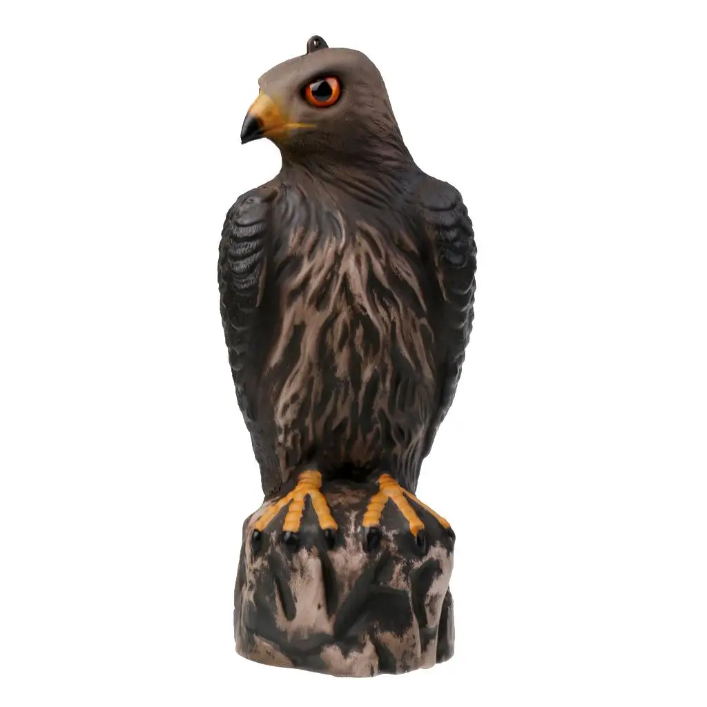 PE Eagle Decoy Realistic Hawk Bird Figure Scarecrow Hunting Devices for Control and Outdoor Garden Decoration
PE Eagle Decoy Realistic Hawk Bird Figure Scarecrow Hunting Devices for Control and Outdoor Garden Decoration