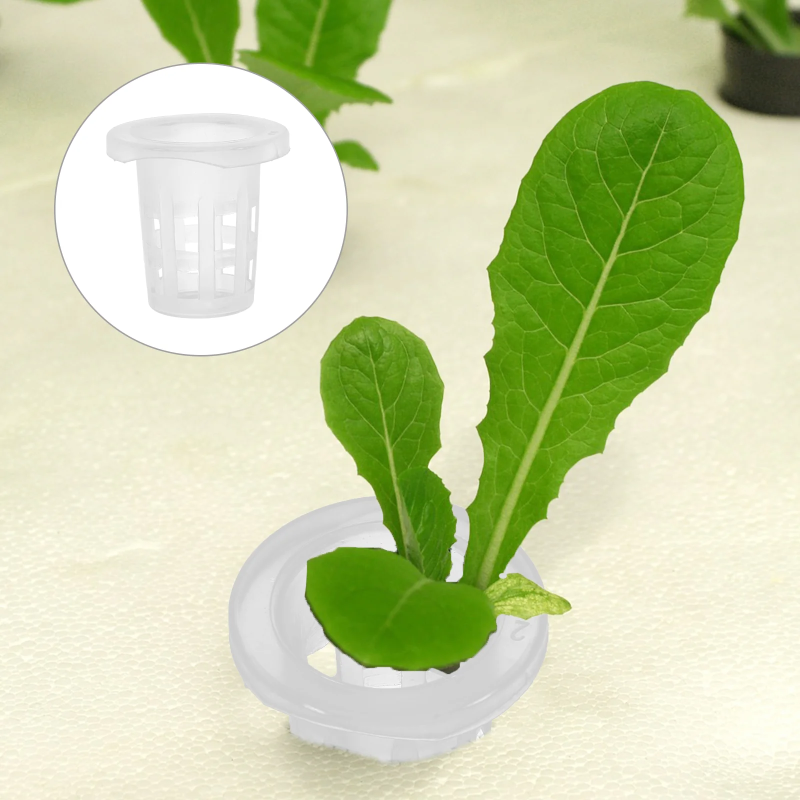 Hydroponic Flowerpot Growing Cup Garden Containers Root Control Device Aquarium Plant
Hydroponic Flowerpot Growing Cup Garden Containers Root Control Device Aquarium Plant
