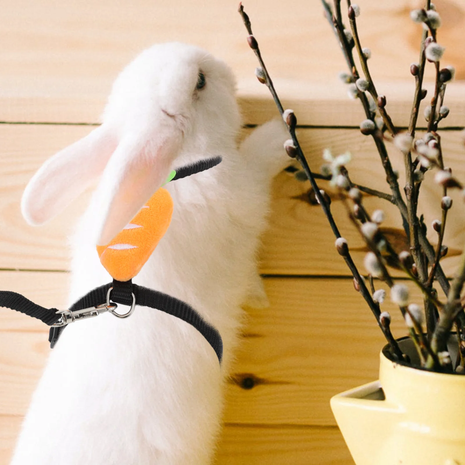 Rabbit Leash Outdoor Traction Rope Comfortable Safe Pet Harness Cloth Chinchilla Guinea Pig Squirrel Soft Breathable Wear
Rabbit Leash Outdoor Traction Rope Comfortable Safe Pet Harness Cloth Chinchilla Guinea Pig Squirrel Soft Breathable Wear