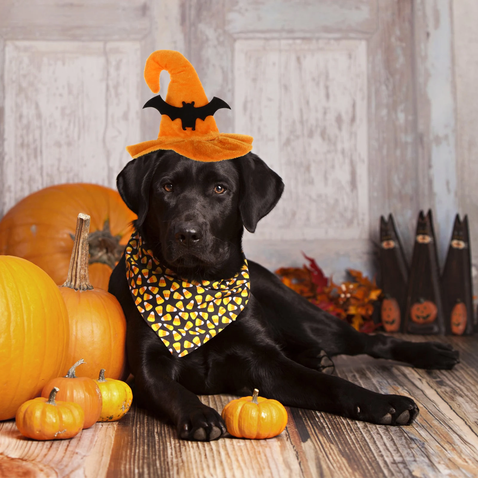 Halloween Hat Headdress Pet-hats Costume Clothing Dog for Dogs Felt Cats Headwear
Halloween Hat Headdress Pet-hats Costume Clothing Dog for Dogs Felt Cats Headwear