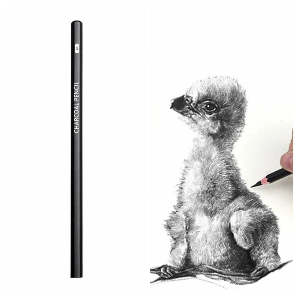 Набор графитовых карандашей для рисования и скетчинга, черные угольные карандаши, художественные принадлежности, прочные карандаши для рисования, детализированная обработка
Набор графитовых карандашей для рисования и скетчинга, черные угольные карандаши, художественные принадлежности, прочные карандаши для рисования, детализированная обработка