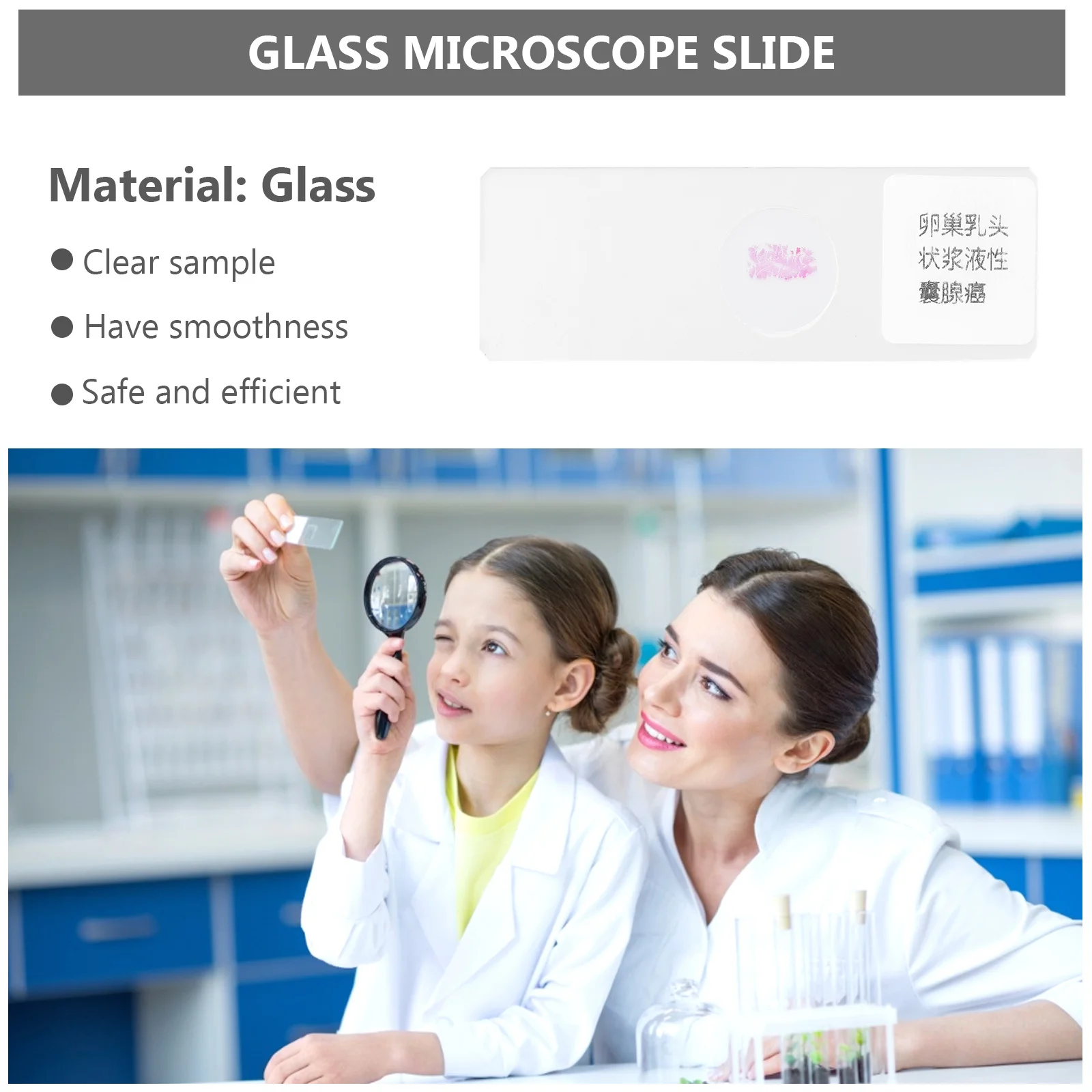Prepared Glass Slide Microscope Specimen Biology Early Education Accessories Specimens Class Prop
Prepared Glass Slide Microscope Specimen Biology Early Education Accessories Specimens Class Prop