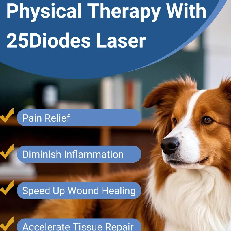 Clinical Chiropractic Cold Laser Light Therapy 25 Diodes for Shoulder Impingement Syndromes Rotator Cuff Injury Healing
Clinical Chiropractic Cold Laser Light Therapy 25 Diodes for Shoulder Impingement Syndromes Rotator Cuff Injury Healing