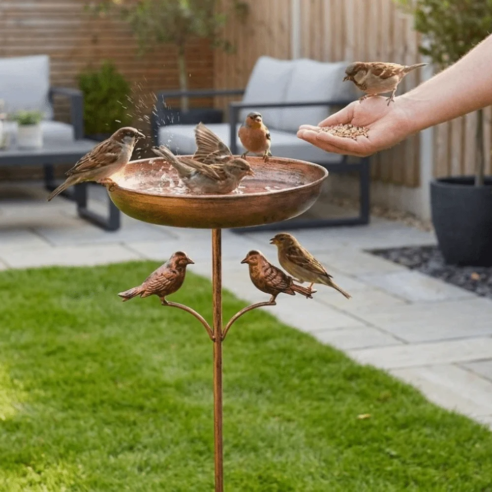 Rustproof Metal Iron Bird Bath Feeder 5 Claw Ground Plug Standing Bowl Bird Feeding Station Heavy Duty Vintage
Rustproof Metal Iron Bird Bath Feeder 5 Claw Ground Plug Standing Bowl Bird Feeding Station Heavy Duty Vintage