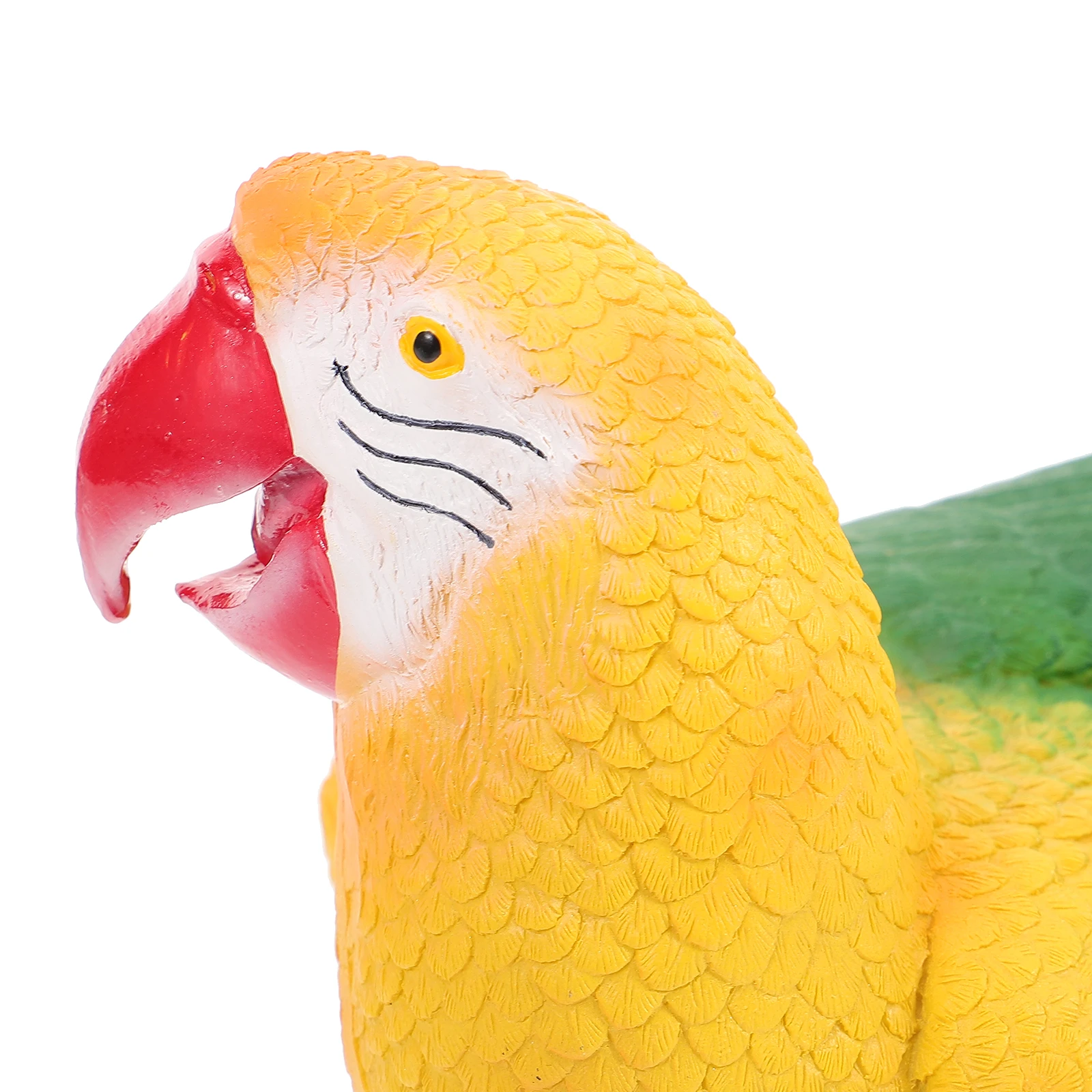 Realistic Artificial Parrot Colorful Resin Garden Decoration Small Parrot Ornament for Home Garden Plant Pot Outdoor Decoration
Realistic Artificial Parrot Colorful Resin Garden Decoration Small Parrot Ornament for Home Garden Plant Pot Outdoor Decoration