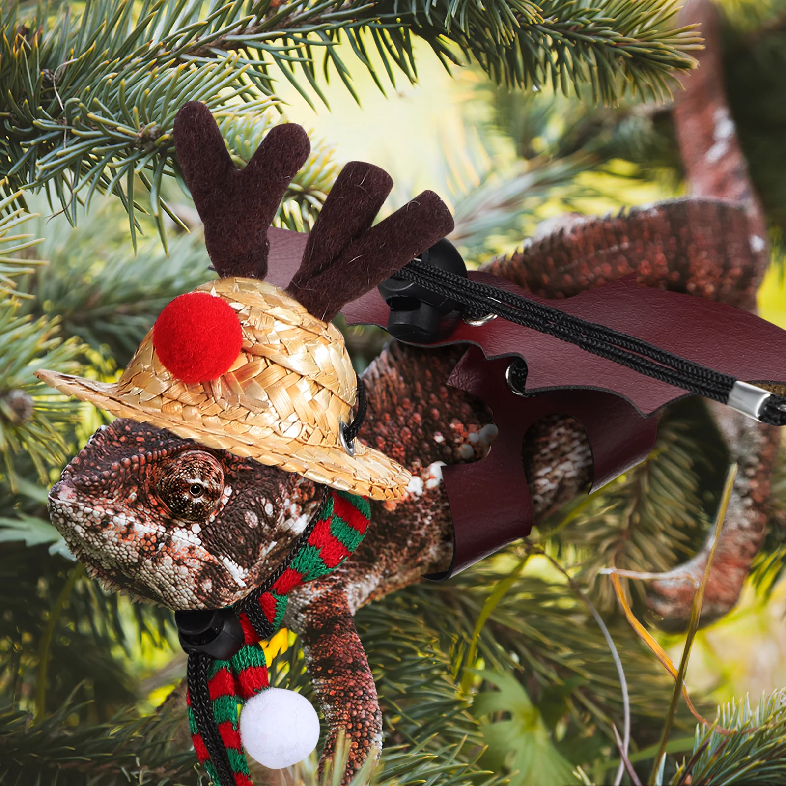 1Set Reptile Christmas Costume Set Cute Scarf Hat Leash for Bearded Dragon Gecko Chameleon Lizard Pet Holiday Dress Up Gear
1Set Reptile Christmas Costume Set Cute Scarf Hat Leash for Bearded Dragon Gecko Chameleon Lizard Pet Holiday Dress Up Gear