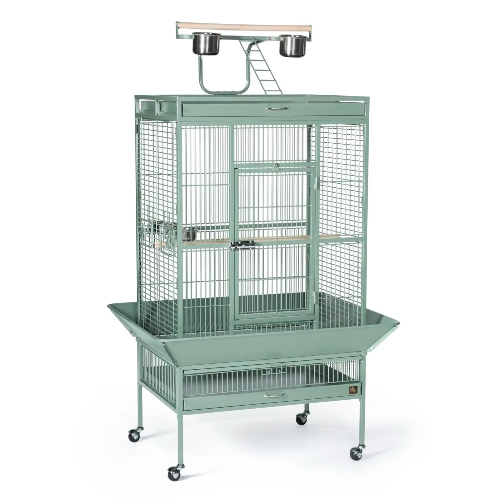 Pet Products Wrought Iron Select Bird Cage , Sage Green, 30-Inch by 22-Inch by 63-Inch
Pet Products Wrought Iron Select Bird Cage , Sage Green, 30-Inch by 22-Inch by 63-Inch