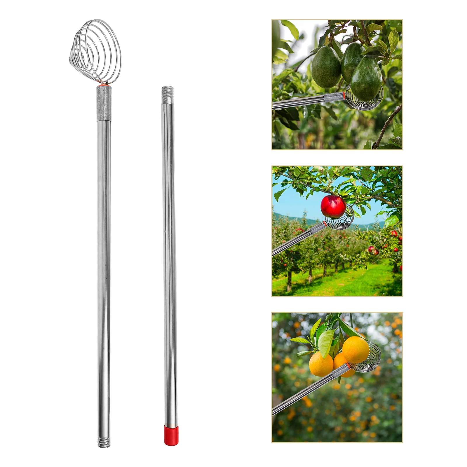 42-Inch Egg Gathering Tool Stainless Steel Egg Grabber with Ergonomic Design Long Reach Non-Slip Grip for Farmers Seniors
42-Inch Egg Gathering Tool Stainless Steel Egg Grabber with Ergonomic Design Long Reach Non-Slip Grip for Farmers Seniors