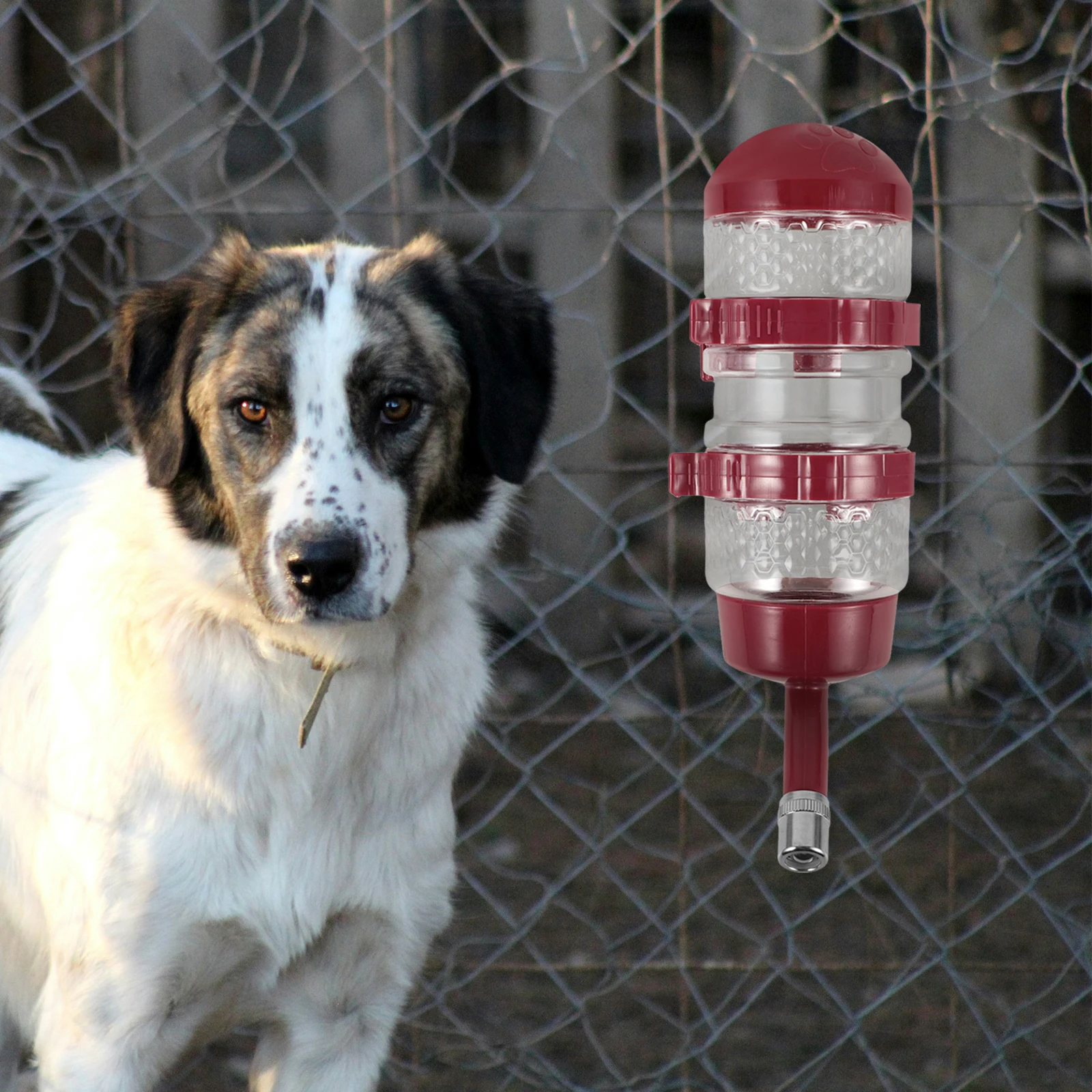 1Pcs Large Size Dog Crate Water Bottle Dispenser Hanging Pet Drinking Fountain Cat Water Dispenser
1Pcs Large Size Dog Crate Water Bottle Dispenser Hanging Pet Drinking Fountain Cat Water Dispenser