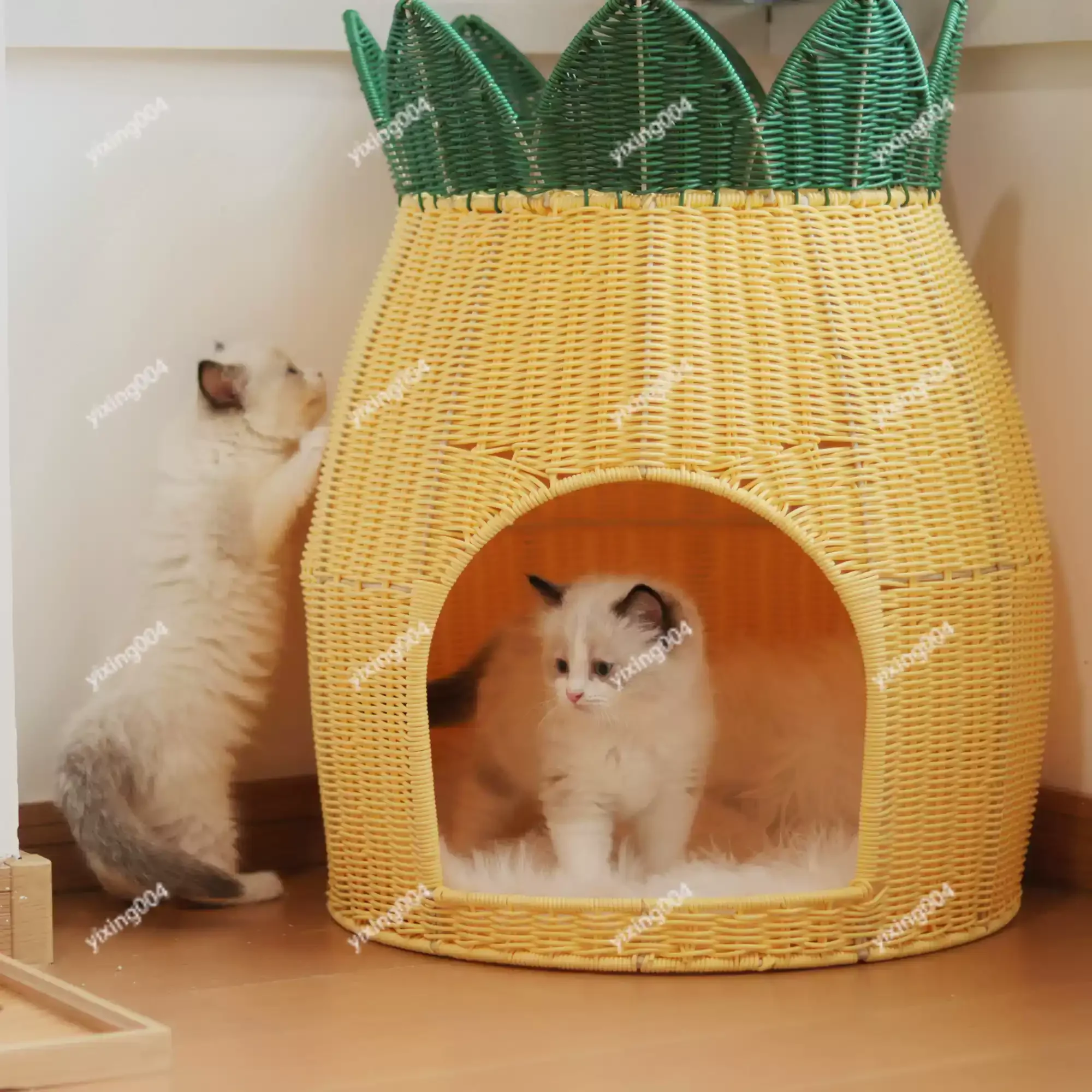 Rattan Cat Nest Four Seasons Universal Semi Enclosed Double Layer Pineapple Style Pet House
Rattan Cat Nest Four Seasons Universal Semi Enclosed Double Layer Pineapple Style Pet House