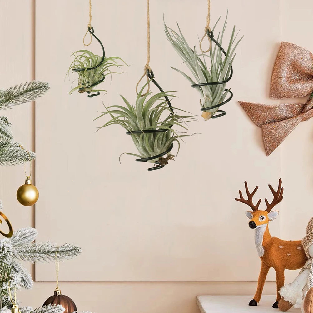 3 Sets Air Plant Holders Spiral Design Spacesaving Reusable Ferns Houseplants Black Flower Pot Hanger Wall Planter
3 Sets Air Plant Holders Spiral Design Spacesaving Reusable Ferns Houseplants Black Flower Pot Hanger Wall Planter