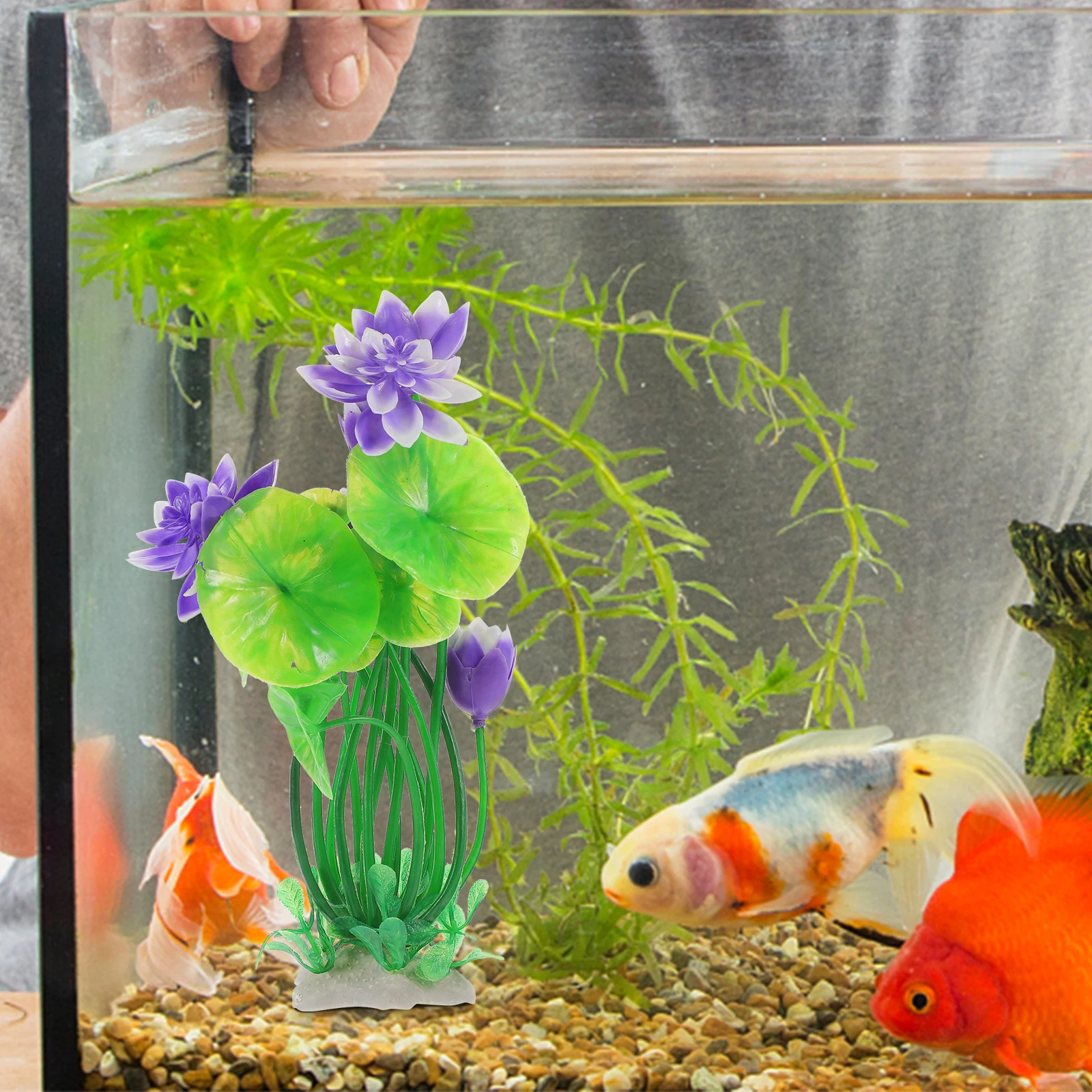 Simulated Lotus Flower HH02 Purple Plastic Aquarium Decor Realistic Artificial Water Plants for Fish Tank Pond Delicate Craft 
Simulated Lotus Flower HH02 Purple Plastic Aquarium Decor Realistic Artificial Water Plants for Fish Tank Pond Delicate Craft