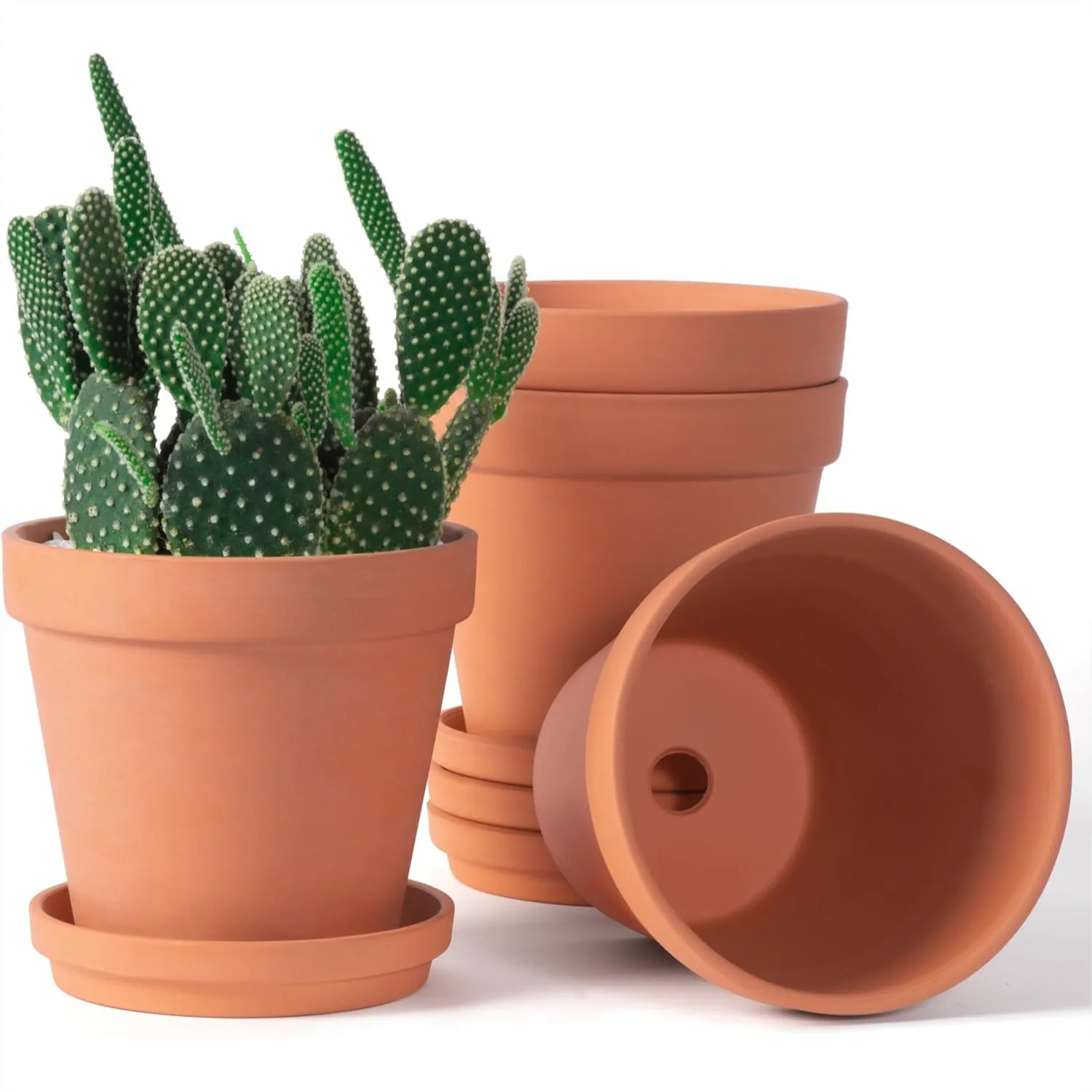6 Inch Terracotta Pots for Plants with Saucer, Medium Clay Planters with Drainage Hole for Indoor Outdoor Use, Pack of 4
6 Inch Terracotta Pots for Plants with Saucer, Medium Clay Planters with Drainage Hole for Indoor Outdoor Use, Pack of 4