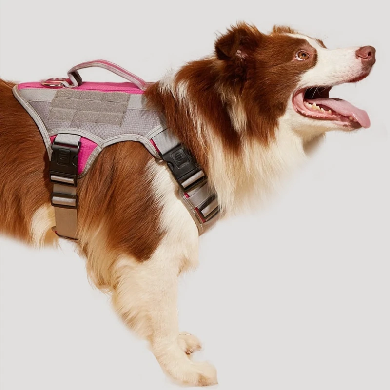Tactical Dog Harness – No-Neck-Restraint Chest Strap for Large Breeds (Explosion-Proof)
Tactical Dog Harness – No-Neck-Restraint Chest Strap for Large Breeds (Explosion-Proof)