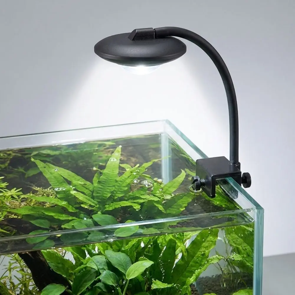 Full Spectrum Fish Tank Clip Lamp Adjustable Brightness Color-changing LED Aquarium Light Low Flicker Frequency Eye-friendly
Full Spectrum Fish Tank Clip Lamp Adjustable Brightness Color-changing LED Aquarium Light Low Flicker Frequency Eye-friendly