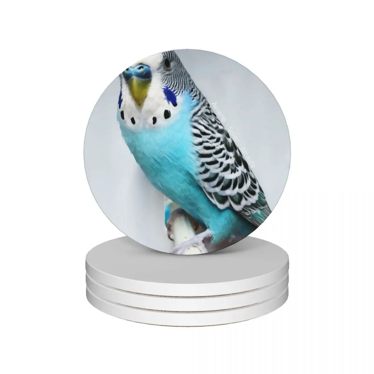 Budgie - Model 3 Ceramic Coasters (Set of 4) bulk Cup for tea pot Cup mat Coasters
Budgie - Model 3 Ceramic Coasters (Set of 4) bulk Cup for tea pot Cup mat Coasters