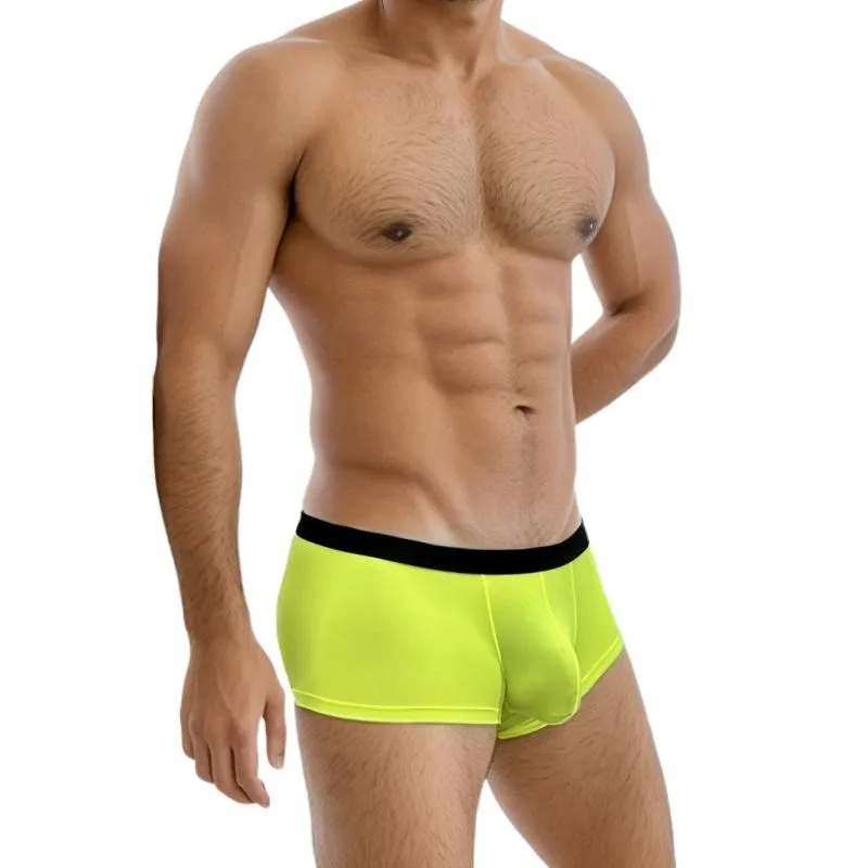 Mens Underwear U Convex Sexy Low Waist Boxers Thin Ice Silk Breathable Trunks Transparent Boxers Pack
Mens Underwear U Convex Sexy Low Waist Boxers Thin Ice Silk Breathable Trunks Transparent Boxers Pack