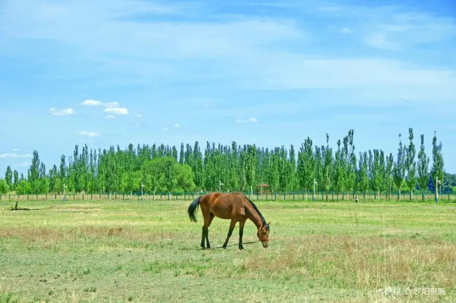 4Pcs Aluminum Shock Absorber Assembled Replacement,for 1/18 WLtoys A959 RC Car A969 A979 K929 A949-55 Upgrade Parts
4Pcs Aluminum Shock Absorber Assembled Replacement,for 1/18 WLtoys A959 RC Car A969 A979 K929 A949-55 Upgrade Parts