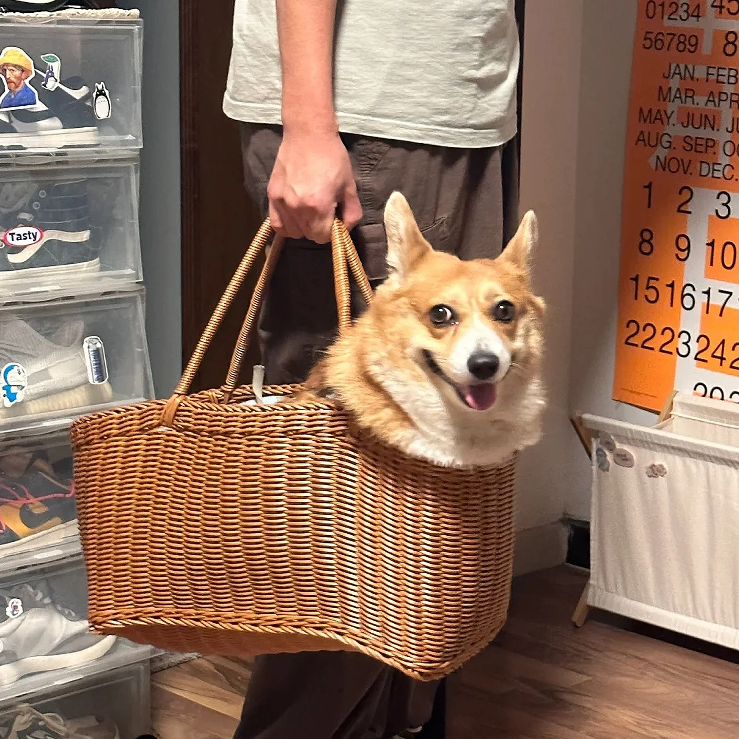 Portable Lightweight Pet Travel Basket Dog Outing Bag Handheld Waterproof Wicker Shopping Basket Pet Supplies Dog Outfit
Portable Lightweight Pet Travel Basket Dog Outing Bag Handheld Waterproof Wicker Shopping Basket Pet Supplies Dog Outfit