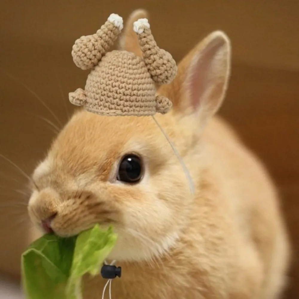 2PCS Funny Rabbit Knit Turkey Hat Mini Woolen Yarn Hamster Hand-Crocheted Hat Cartoon Decorative Small Pet Novelty Headwear
2PCS Funny Rabbit Knit Turkey Hat Mini Woolen Yarn Hamster Hand-Crocheted Hat Cartoon Decorative Small Pet Novelty Headwear