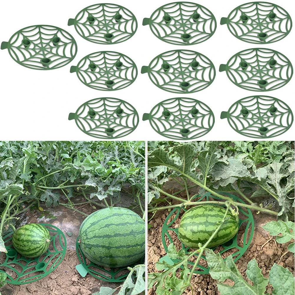 5/10Pcs Watermelon Fruit Stand Support Basket Frame Vegetables Plant Tray Rack Melon Pumpkin Protective Holder Garden Tools
5/10Pcs Watermelon Fruit Stand Support Basket Frame Vegetables Plant Tray Rack Melon Pumpkin Protective Holder Garden Tools