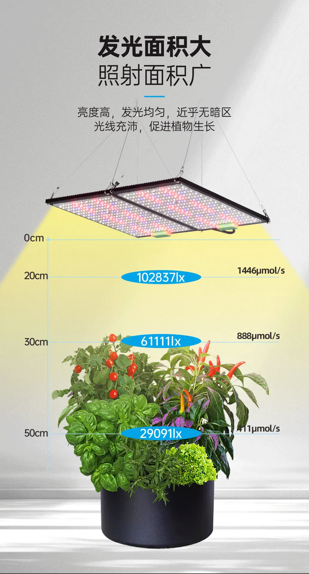 LED plant filling light full spectrum sunlight full band quantum board plant growth light dimming succulent coloring
LED plant filling light full spectrum sunlight full band quantum board plant growth light dimming succulent coloring