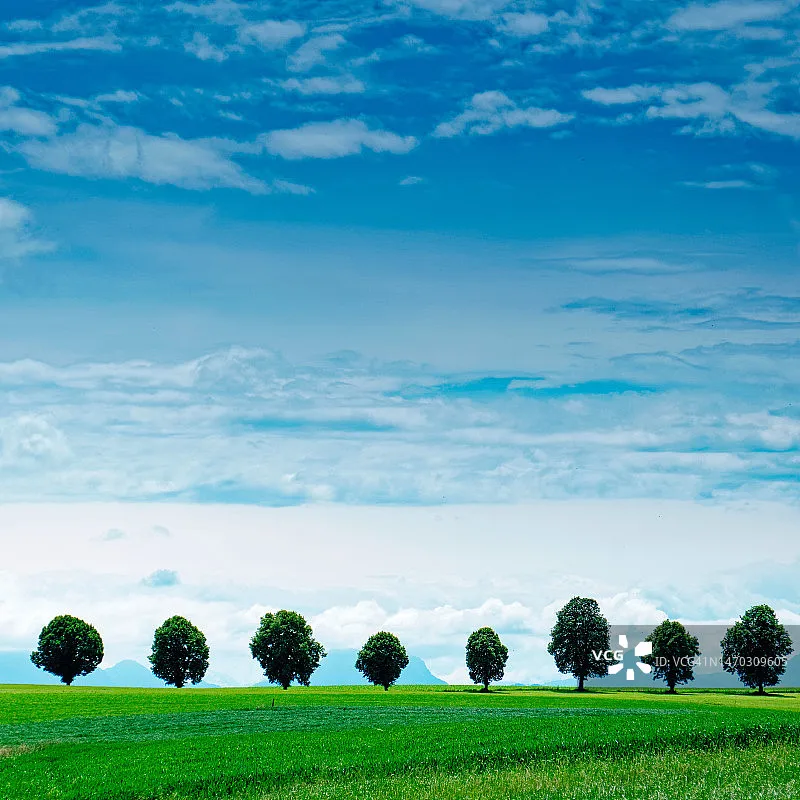 Holybro PM03D Power Module - 6S, XT30/XT60, I2C Digital Power Monitor for Pixhawk 5X/6X & X500 Multirotor Drone
Holybro PM03D Power Module - 6S, XT30/XT60, I2C Digital Power Monitor for Pixhawk 5X/6X & X500 Multirotor Drone