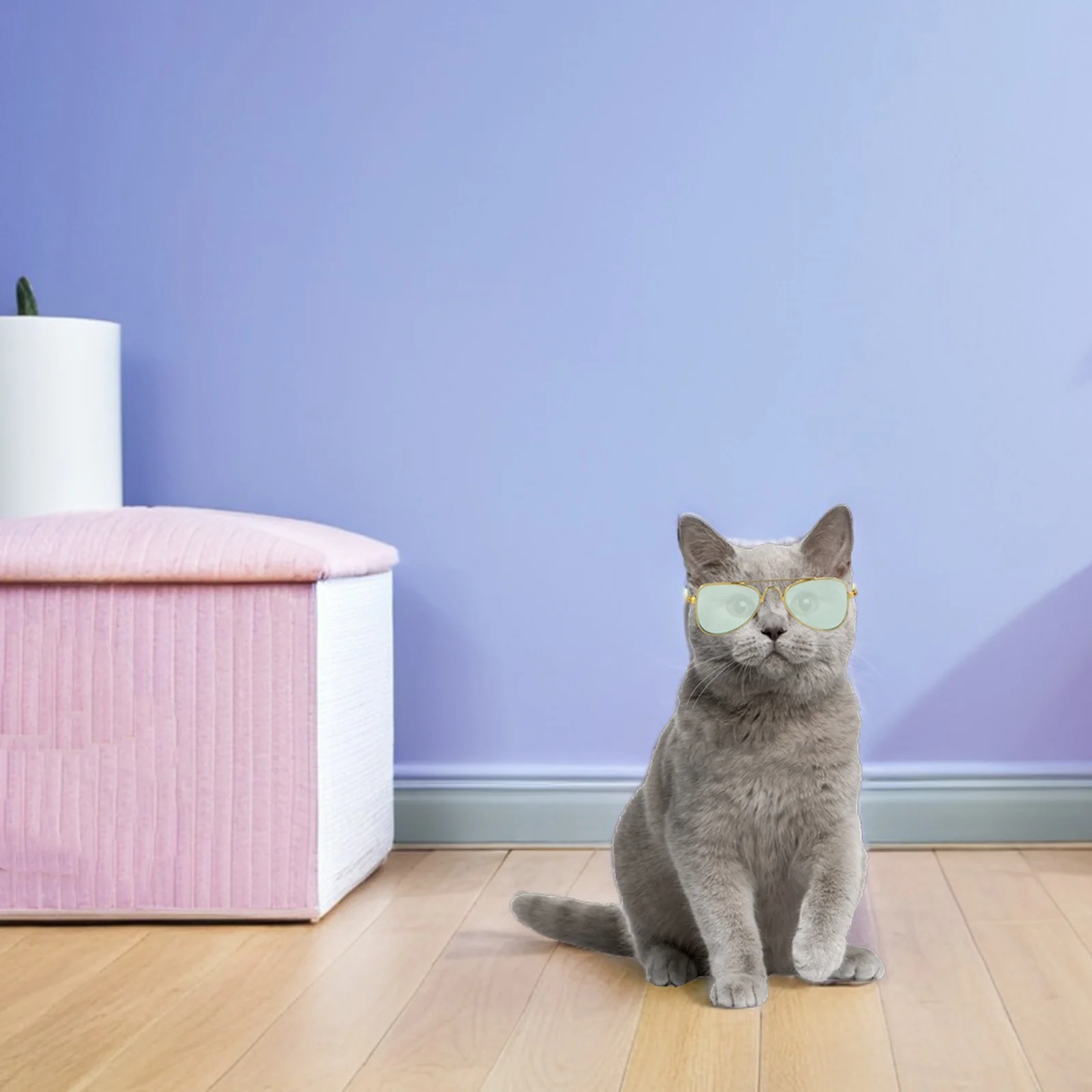 4pcs Cat Photo Props: Lightweight Sunglasses For Cats Dogs Hd Lenses Funny Costume Eyewear Cartoon Eyes Photography Accessories
4pcs Cat Photo Props: Lightweight Sunglasses For Cats Dogs Hd Lenses Funny Costume Eyewear Cartoon Eyes Photography Accessories