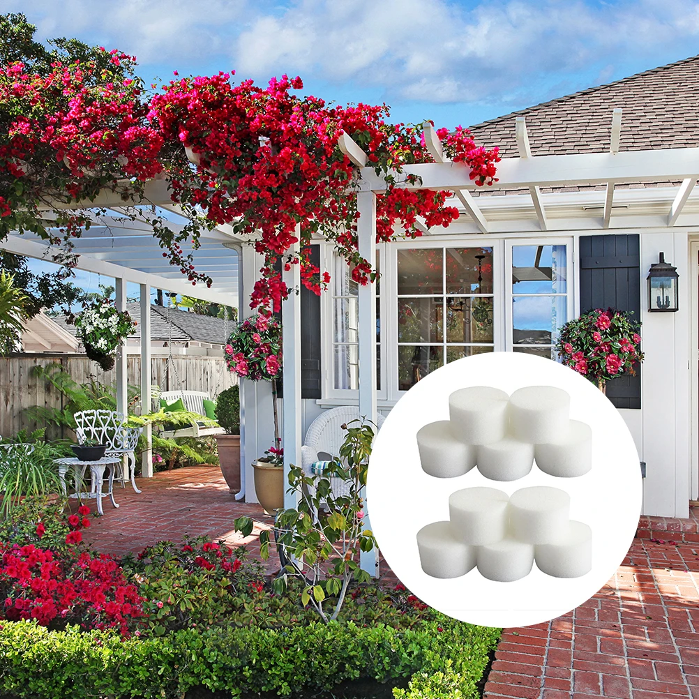50pcs Planting Sponge Gardening Tools for Soilless Cultivation Hydroponic Seedlings Space Saving Higher Yield Root Vegetables
50pcs Planting Sponge Gardening Tools for Soilless Cultivation Hydroponic Seedlings Space Saving Higher Yield Root Vegetables