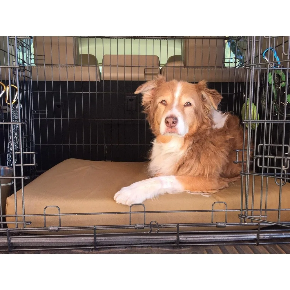 Beds Orthopedic Crate Bed (Large, Cordura) – 4" Memory Foam Pad for Dog Crates – Designed for Large Dogs – Durable
Beds Orthopedic Crate Bed (Large, Cordura) – 4" Memory Foam Pad for Dog Crates – Designed for Large Dogs – Durable