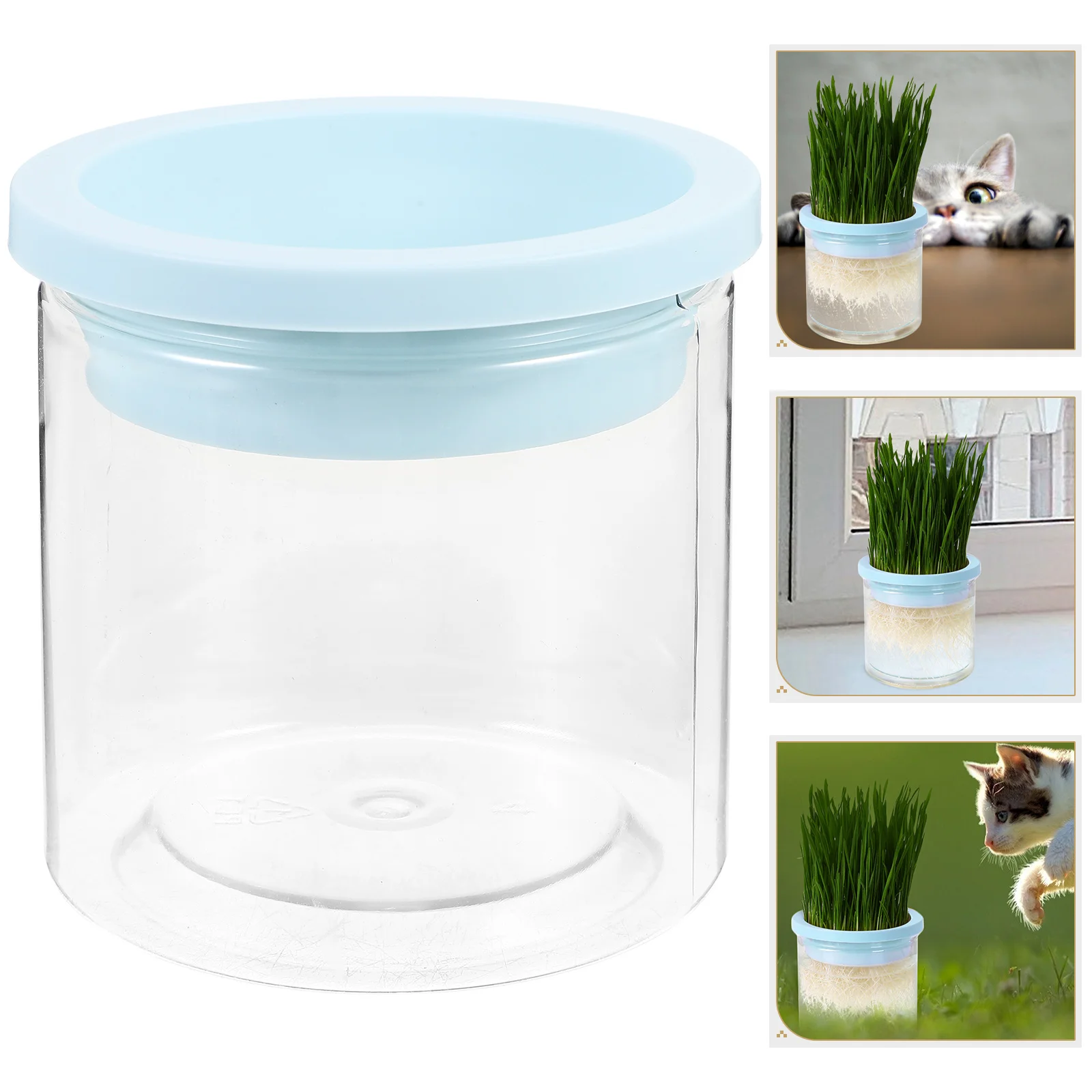Hydroponic Planting Planter Catnip Plants for Cats Indoor Grass Household Flower Pot
Hydroponic Planting Planter Catnip Plants for Cats Indoor Grass Household Flower Pot