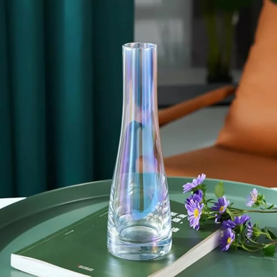 8.3'' Single Flower Vase, Small Glass Bud Vase Clear Single Stem Rose Vase, Colorful Tall Skinny Vases for Flowers Centerpieces
8.3'' Single Flower Vase, Small Glass Bud Vase Clear Single Stem Rose Vase, Colorful Tall Skinny Vases for Flowers Centerpieces