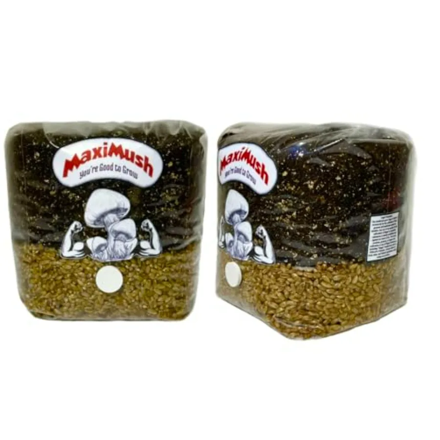 Mushroom grow kit for home cultivation, grain substrate blend, natural beige, all-in-one XL 4Lbs x2 bag with injection port and
Mushroom grow kit for home cultivation, grain substrate blend, natural beige, all-in-one XL 4Lbs x2 bag with injection port and