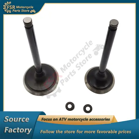 ชุดวาล์วไอดีและไอเสียและวาล์วซีลสำหรับ JS400 Jianshe 400เข้ากันได้กับบาชานลอนซิน F3-110303-0 F3-110304-0