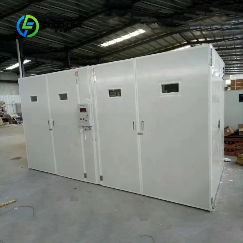 China Industrial Incubation Egg Incubator 19712 Incubator Automatic
China Industrial Incubation Egg Incubator 19712 Incubator Automatic