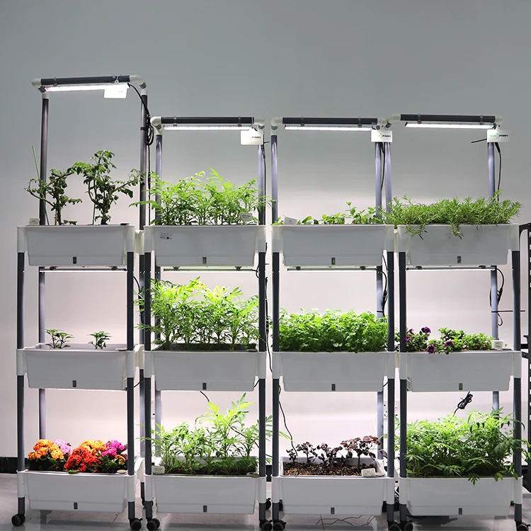 Hydroponics Growing System Water Tank Smart Indoor Garden LED Grow Lights for Vegetable Fruits and Flower Growth
Hydroponics Growing System Water Tank Smart Indoor Garden LED Grow Lights for Vegetable Fruits and Flower Growth