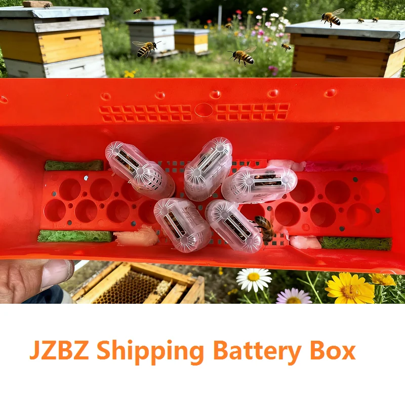JZBZ Battery Box for Queen Shipping Queen Incubator Transport Box Queen Rearing Prisoner King Cage Escape Box Beekeeping Tools
JZBZ Battery Box for Queen Shipping Queen Incubator Transport Box Queen Rearing Prisoner King Cage Escape Box Beekeeping Tools