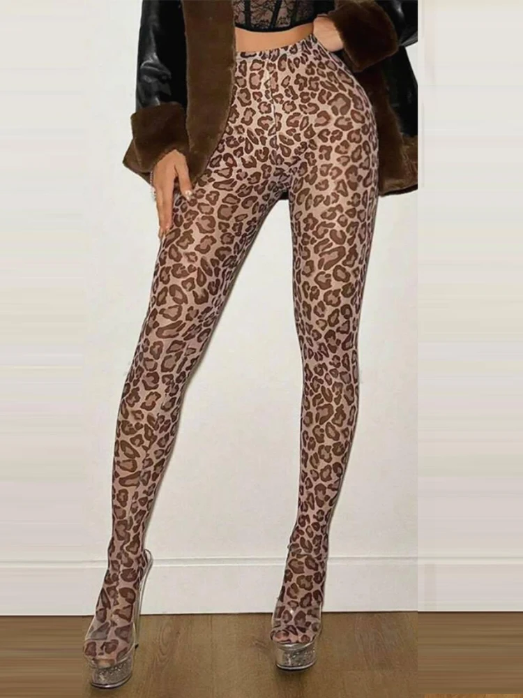 Nibber Fashion Leopard Print Foot Leggings Women Sexy Summer Hipster Tight Skinny Midnigh Party Trousers Wild Clubwear Pants
Nibber Fashion Leopard Print Foot Leggings Women Sexy Summer Hipster Tight Skinny Midnigh Party Trousers Wild Clubwear Pants