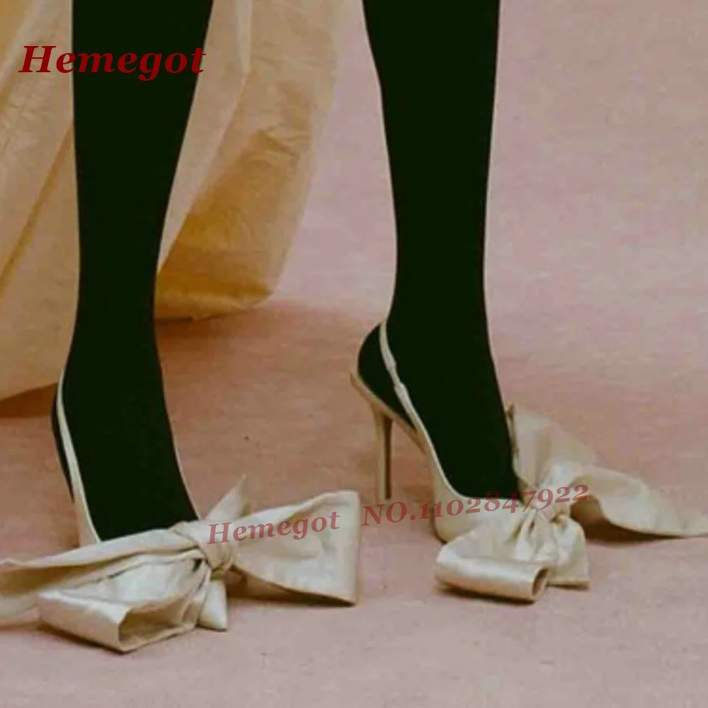 Beige Satin Butterfly-Knot Pumps Pointy Toe Stiletto Slingback Women's Pumps Slip On Thin High Heels Runway Party Shoes Luxury
Beige Satin Butterfly-Knot Pumps Pointy Toe Stiletto Slingback Women's Pumps Slip On Thin High Heels Runway Party Shoes Luxury