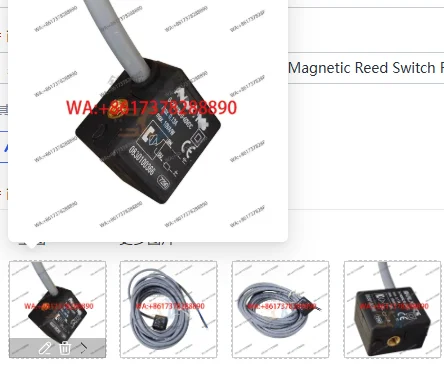 Genuine 4008320419 0830100366 Magnetic Reed Switch For Homag Woodworking Machinery
Genuine 4008320419 0830100366 Magnetic Reed Switch For Homag Woodworking Machinery